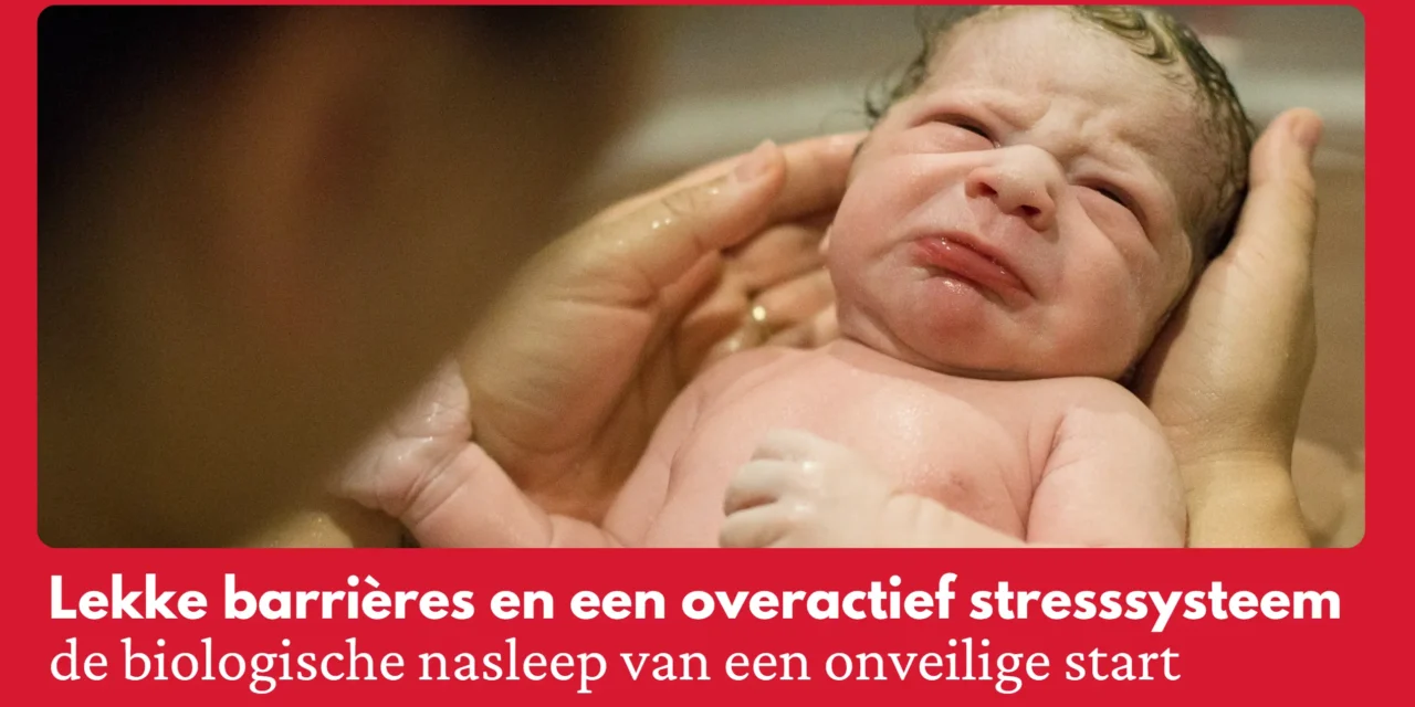 Van geboortetrauma tot chronische ziekte: wanneer je biologische veiligheidssysteem faalt