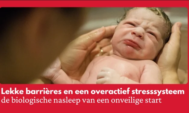 Van geboortetrauma tot chronische ziekte: wanneer je biologische veiligheidssysteem faalt