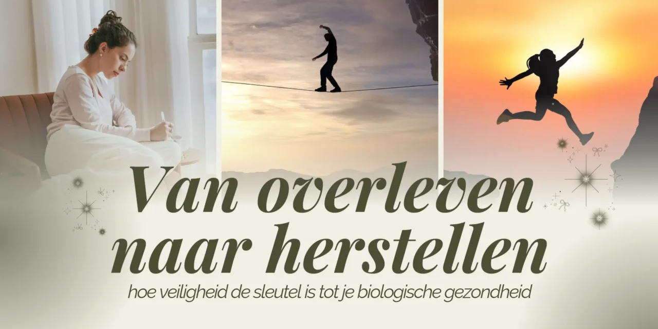 De biologie van veiligheid: waarom je lichaam niet herstelt zonder gevoel van zekerheid