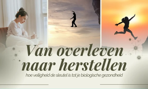De biologie van veiligheid: waarom je lichaam niet herstelt zonder gevoel van zekerheid