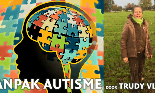 Autisme aanpakken via voeding