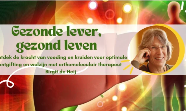 Ondersteun de lever bij ontgifting