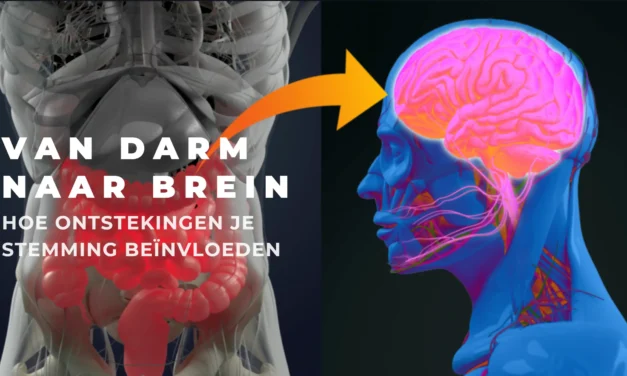 De darmen als tweede brein: hoe je microbioom je stemming stuurt