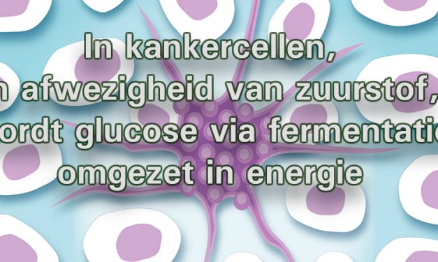 Hoe kankercellen kunnen ontstaan