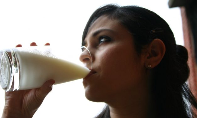 Melk – de witte motor?