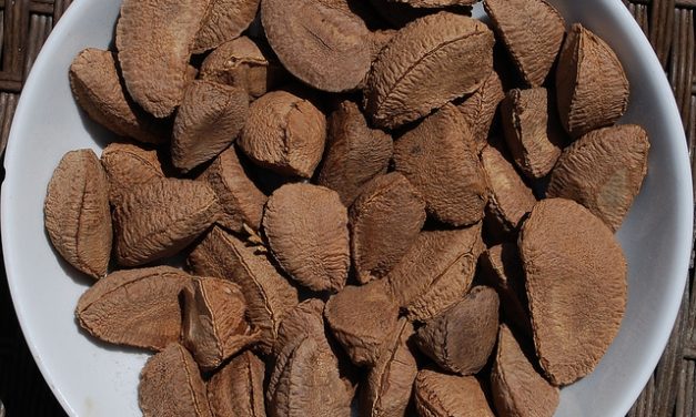 Selenium versterkt je weerstand