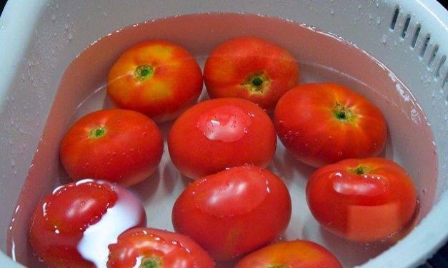 Gundry: “Let ook op lectines”