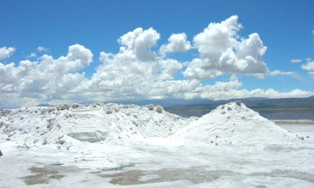 Mineralen aanvullen met sole